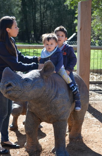 The boys on a rhino statue