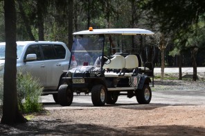safari car